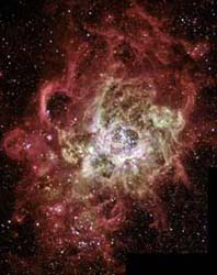 The Hubble telescope's view of nebula NGC 604 / Courtesy NASA and STScI